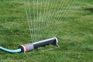 Important Basic Lawn Maintenance Rules