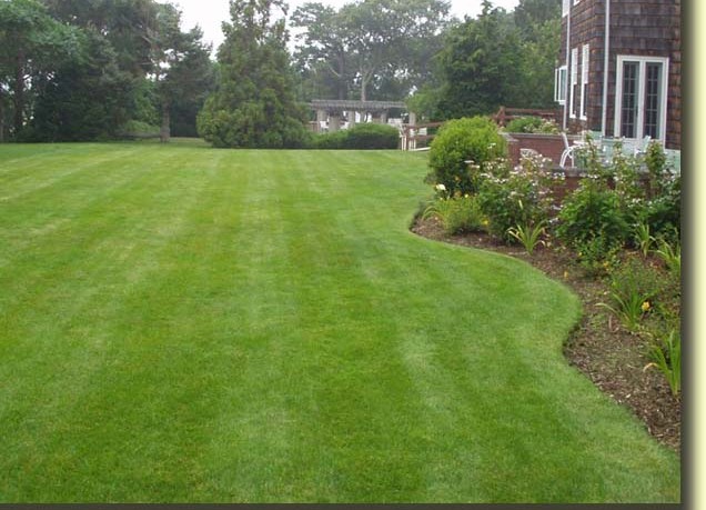 Knowing Basic Lawn Maintenance Rules