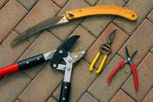 The Ideas for Garden Tool Maintenance