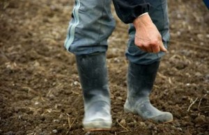 The Tips to Know the Soils of Your Garden