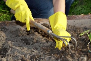 Sterilize Garden Soil Tips