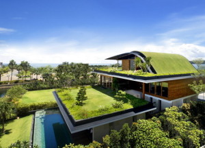 Find The Idea of Green Architecture