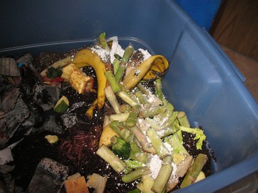 Functional Trash Can Compost Bin