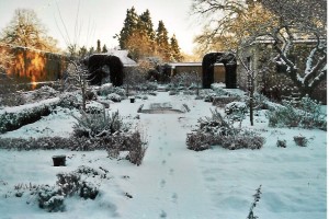 Find Winter Garden Benefits and Tips