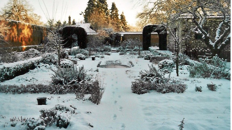 Find Winter Garden Benefits and Tips