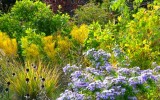 Get Aromatic Garden Solutions