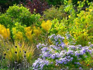 Get Aromatic Garden Solutions