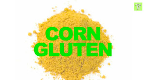 Corn Gluten Weed Killer Functions