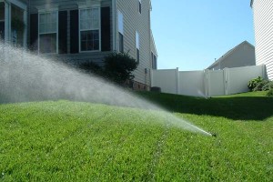 The List of Basic Lawn Maintenance Rules