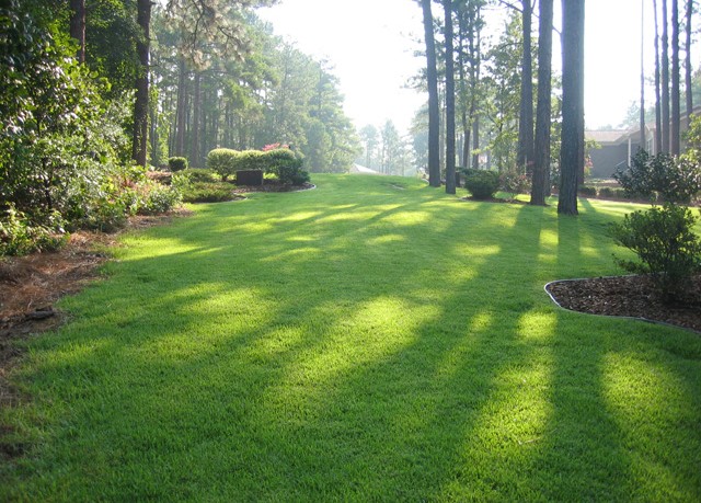 Get Basic Lawn Maintenance Rules