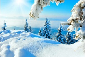 Ideas to Bring More Winter Sunshine