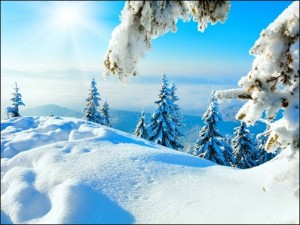 Ideas to Bring More Winter Sunshine