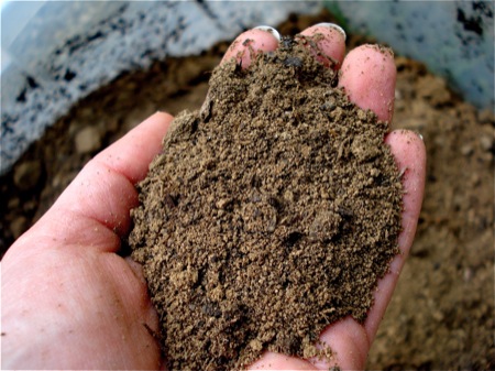 Know the Soils of Your Garden Tips